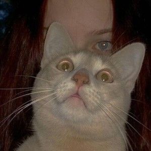 Meet your Posher, Bernd